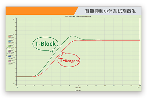 811plus_feature03.png