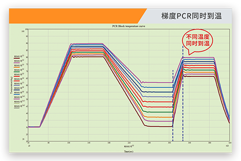 811plus_feature04.png